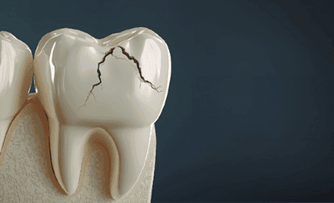 Xray and diagnostic services