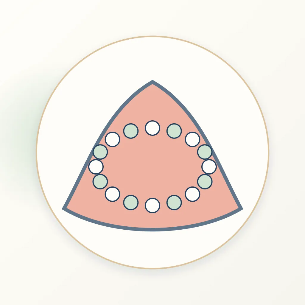 Hard Denture Reline Resin dental educational illustration