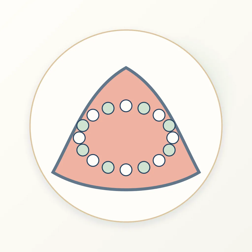 Alginate Impression Material dental educational illustration