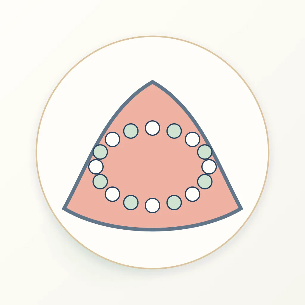Silicone Soft Denture Liner dental educational illustration