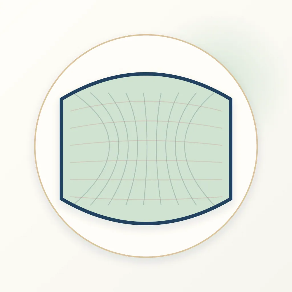 PTFE Barrier Membrane dental educational illustration