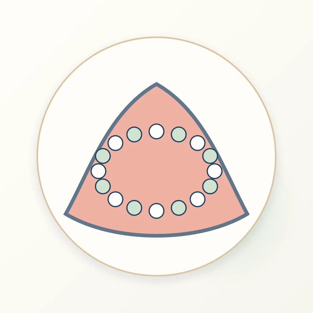 Flowable Composite dental educational illustration