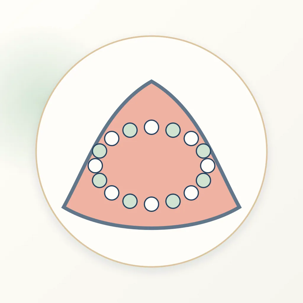 Bulk-Fill Composite dental educational illustration