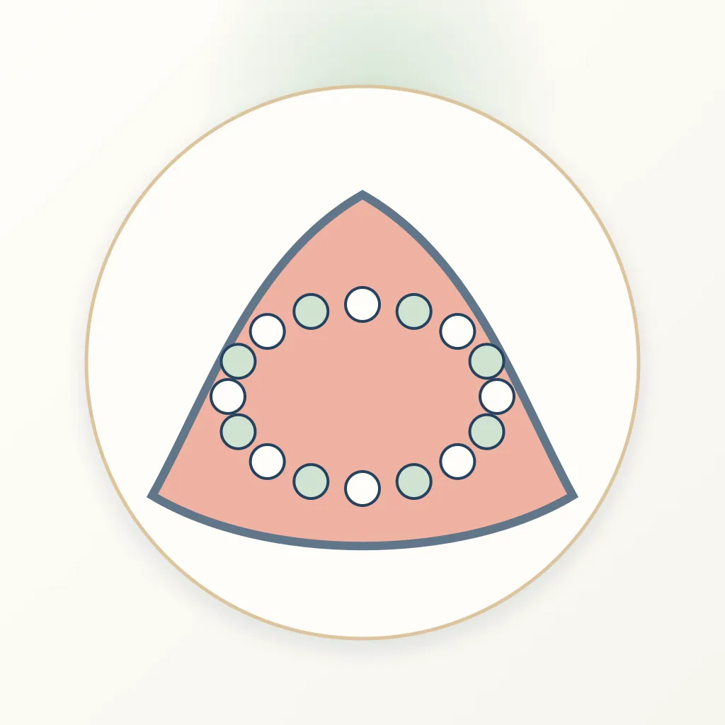 Polyether Impression Material dental educational illustration