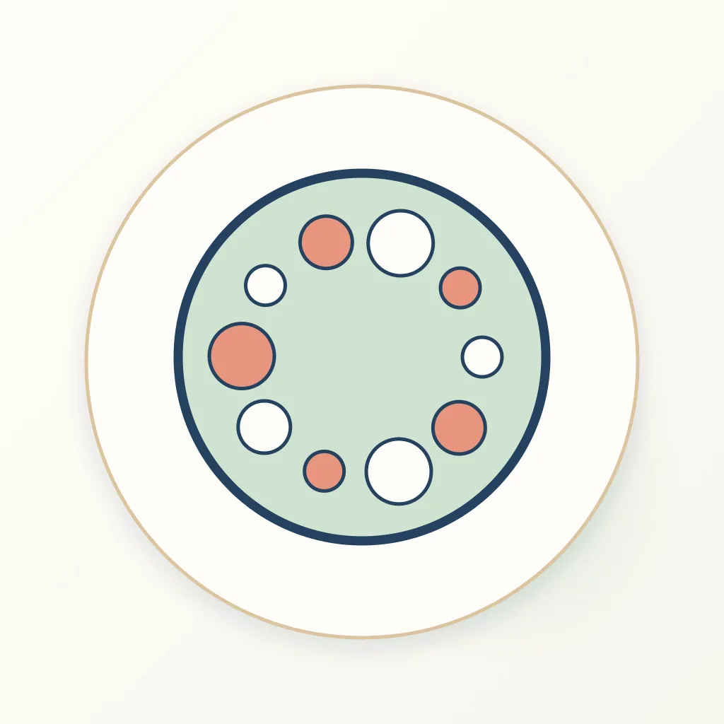 Polycarbonate dental educational illustration