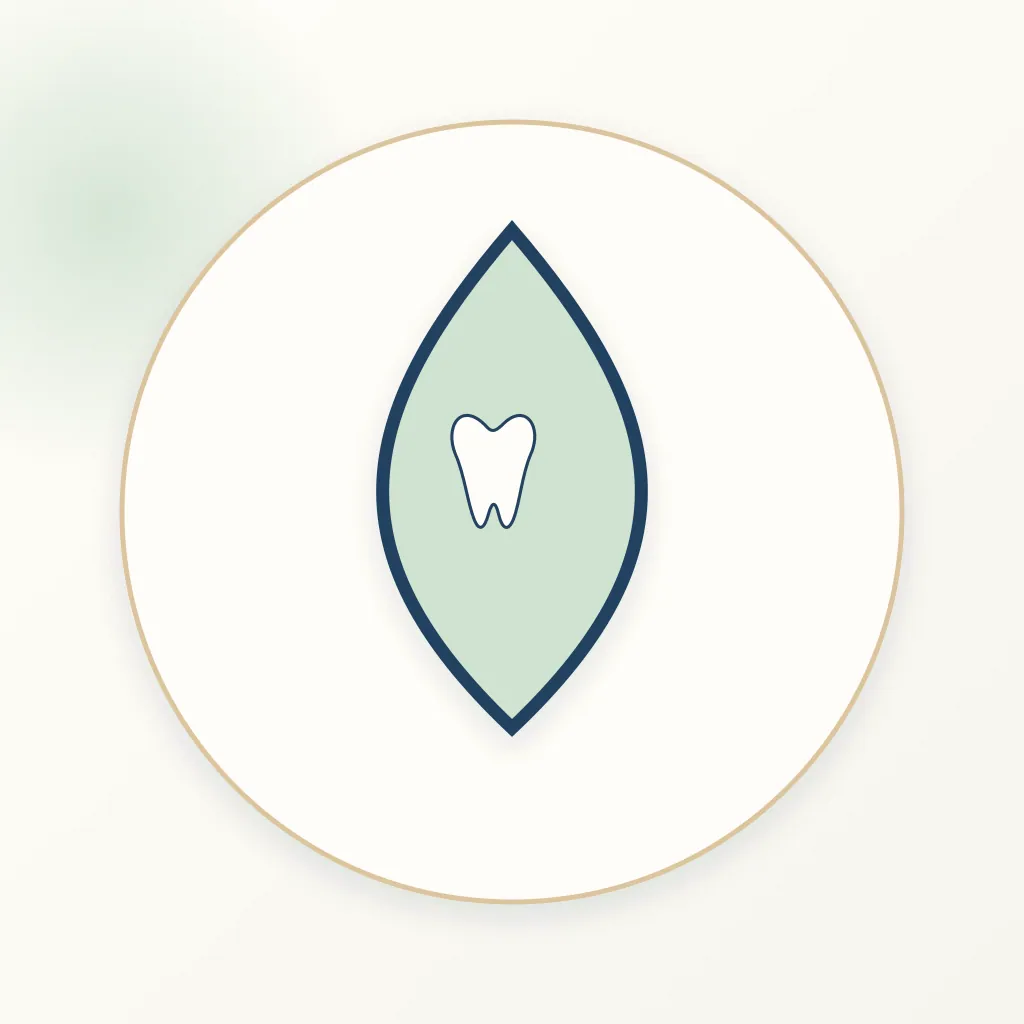 MTA (Mineral Trioxide Aggregate) dental educational illustration