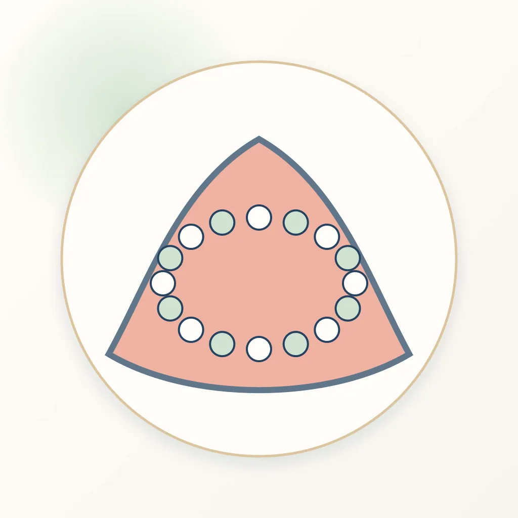Self-Adhesive Resin Cement dental educational illustration
