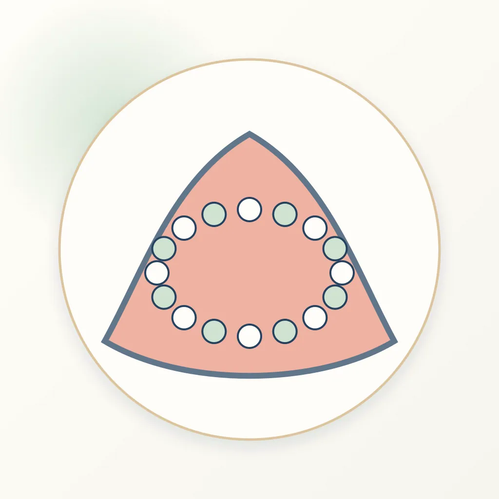Nanofilled Composite dental educational illustration
