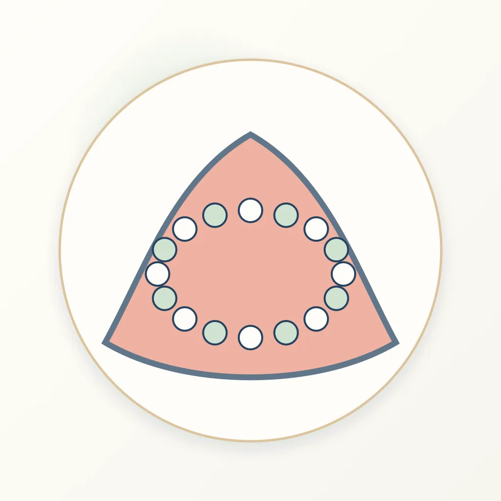 Resin-Based Root Canal Sealer dental educational illustration