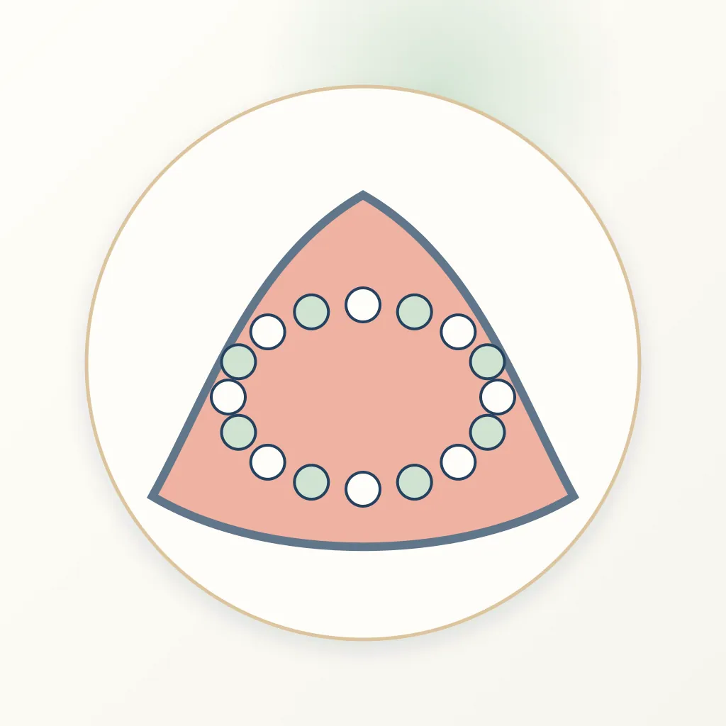 Composite Resin dental educational illustration