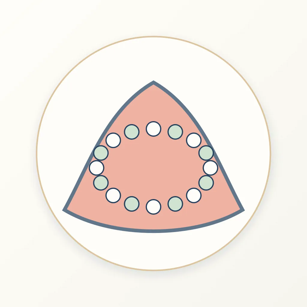 Acetal Resin dental educational illustration