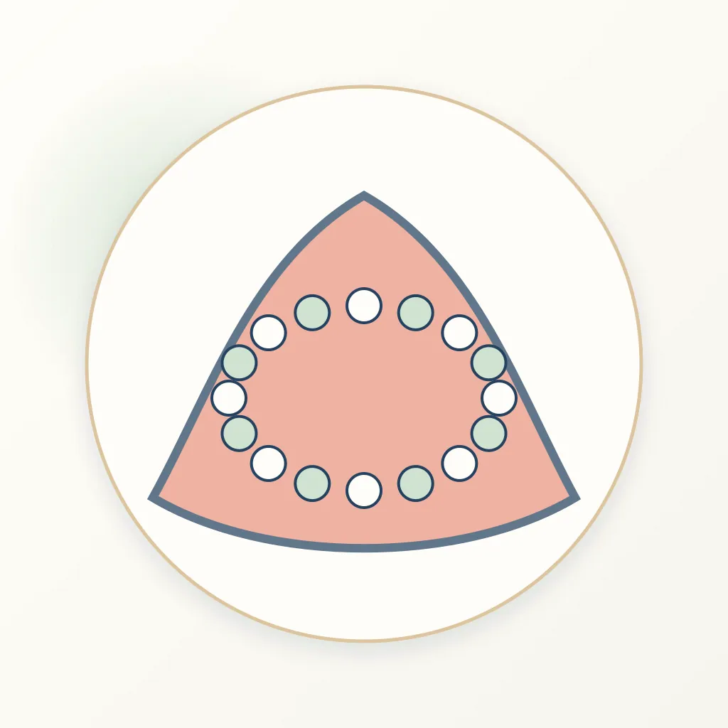 Nanohybrid Composite dental educational illustration