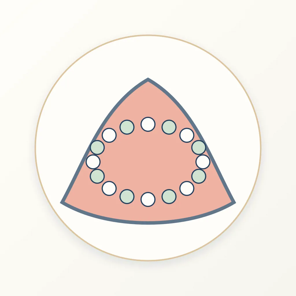 Acrylic Soft Denture Liner dental educational illustration