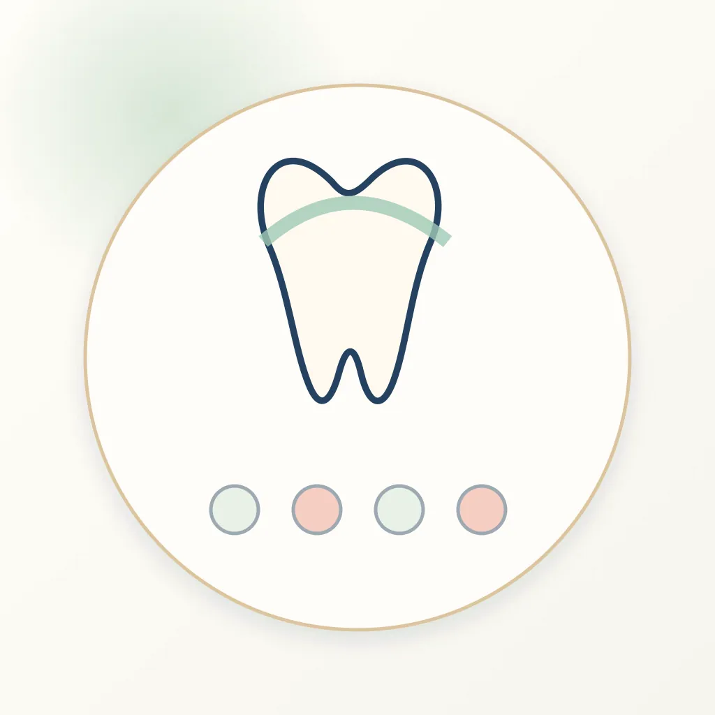 Alumina Ceramic dental educational illustration