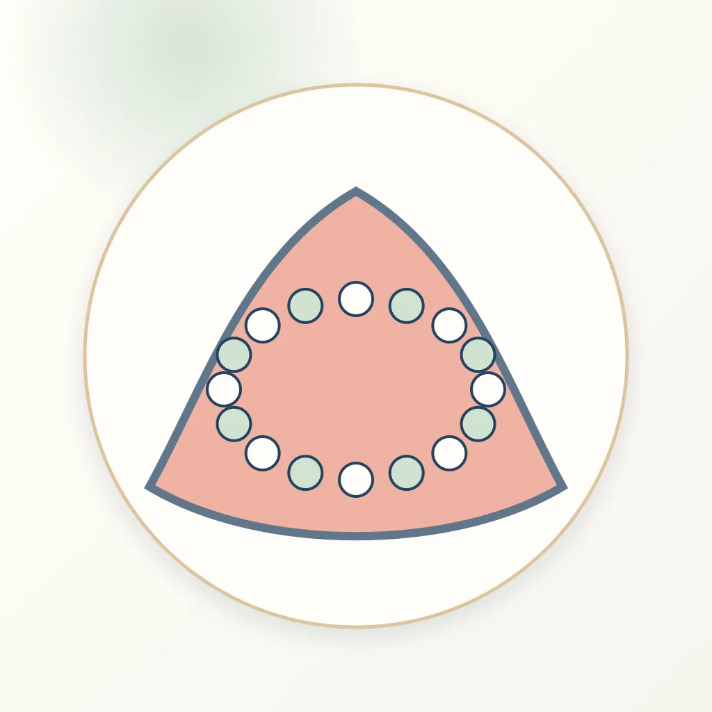 Microhybrid Composite dental educational illustration