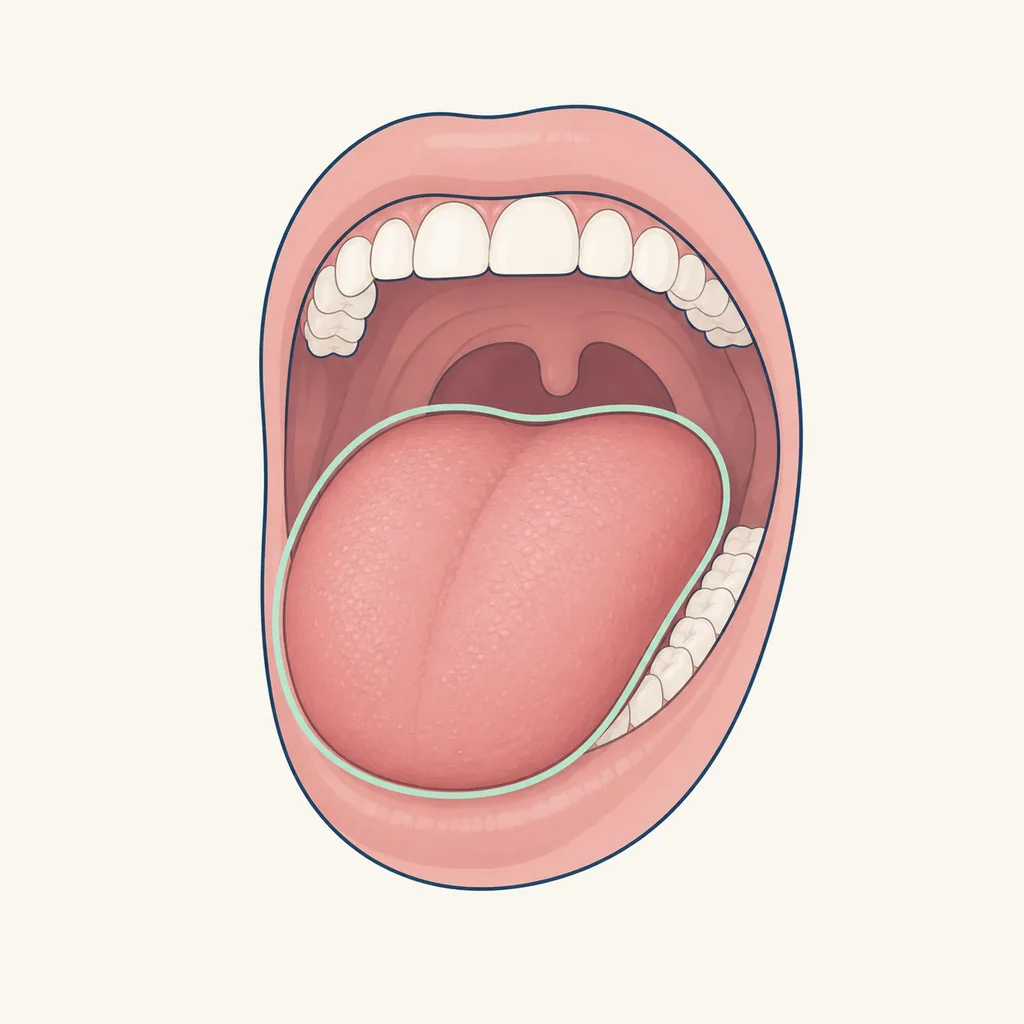 Swollen Tongue dental educational illustration