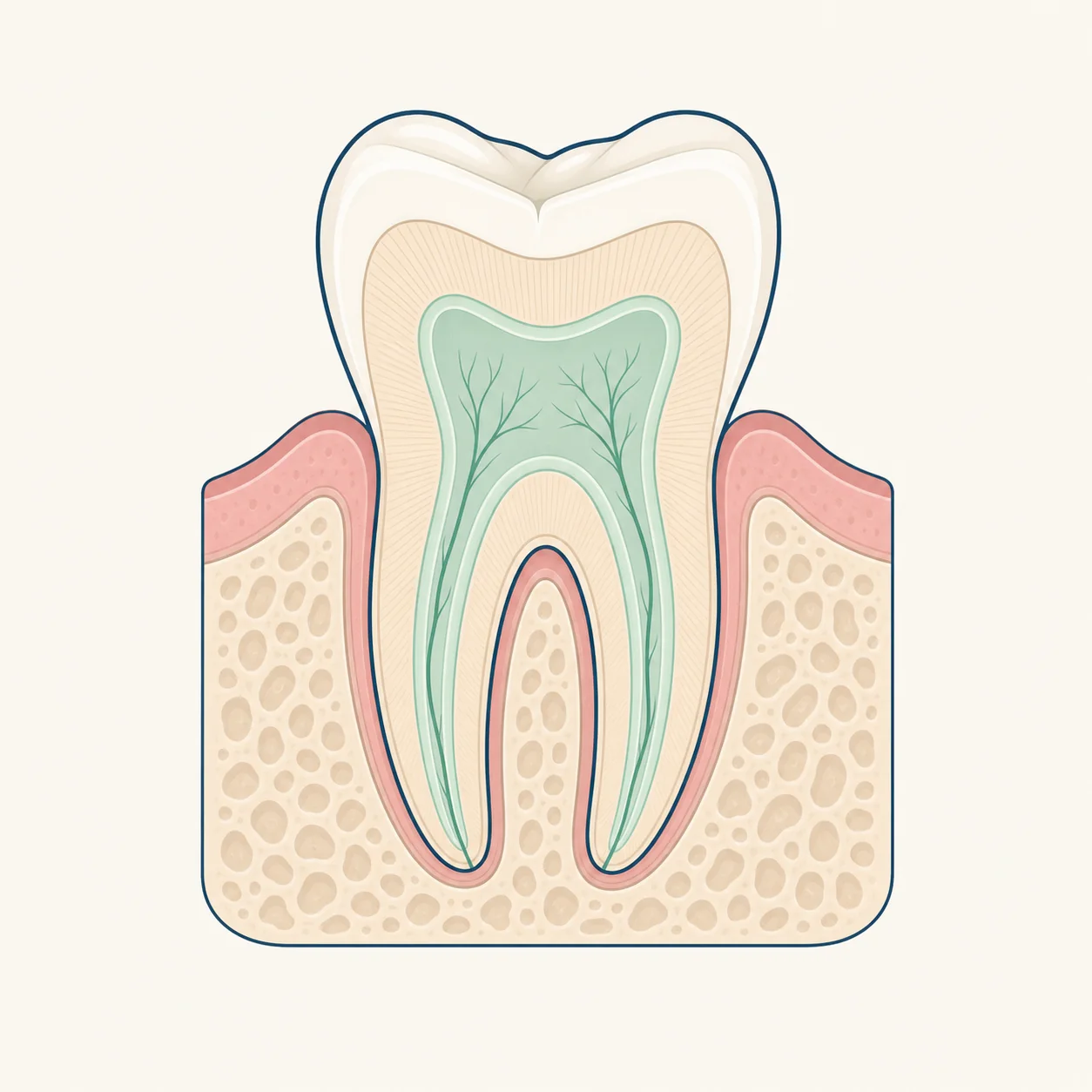 Tooth Pain dental educational illustration