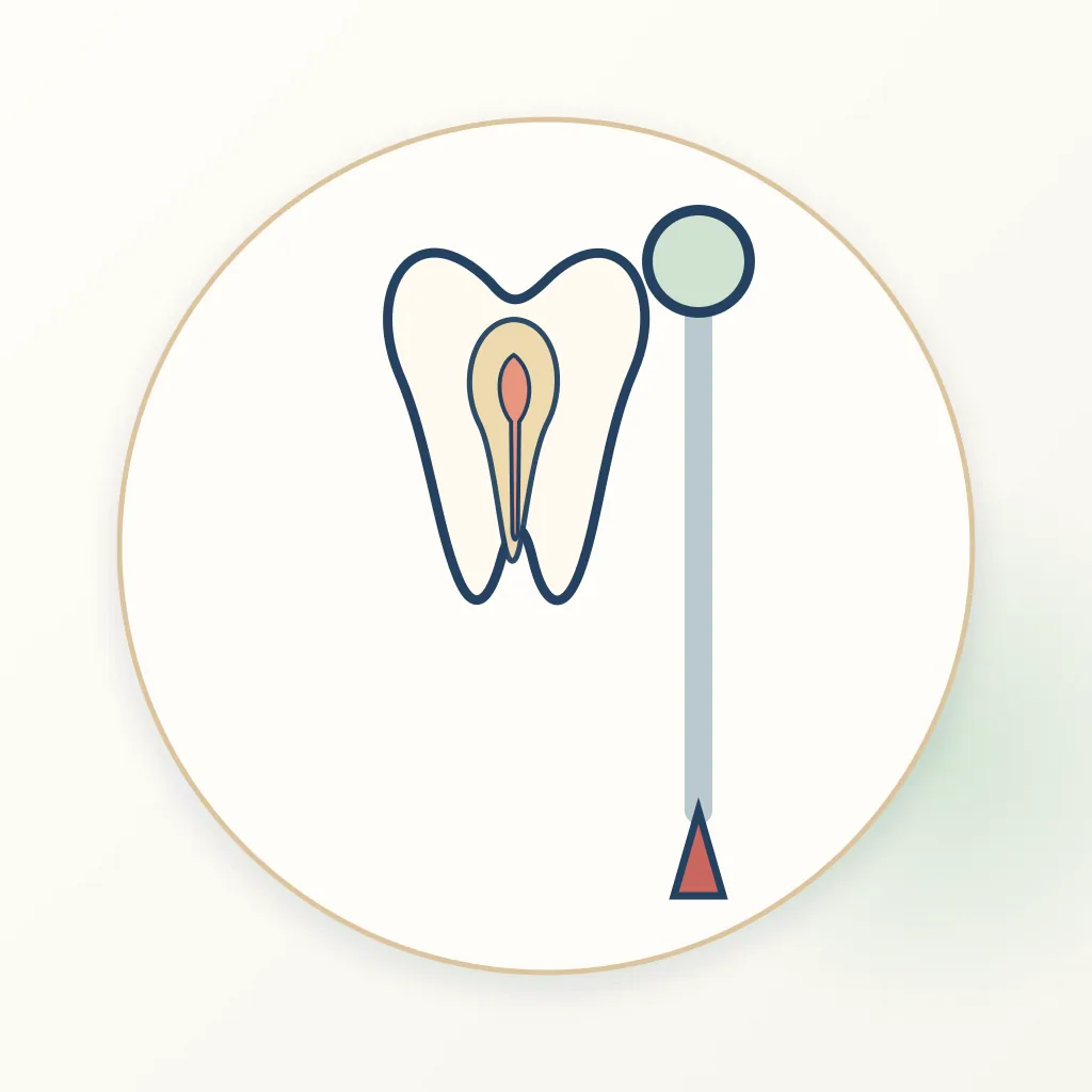 Rotary Endodontics dental educational illustration