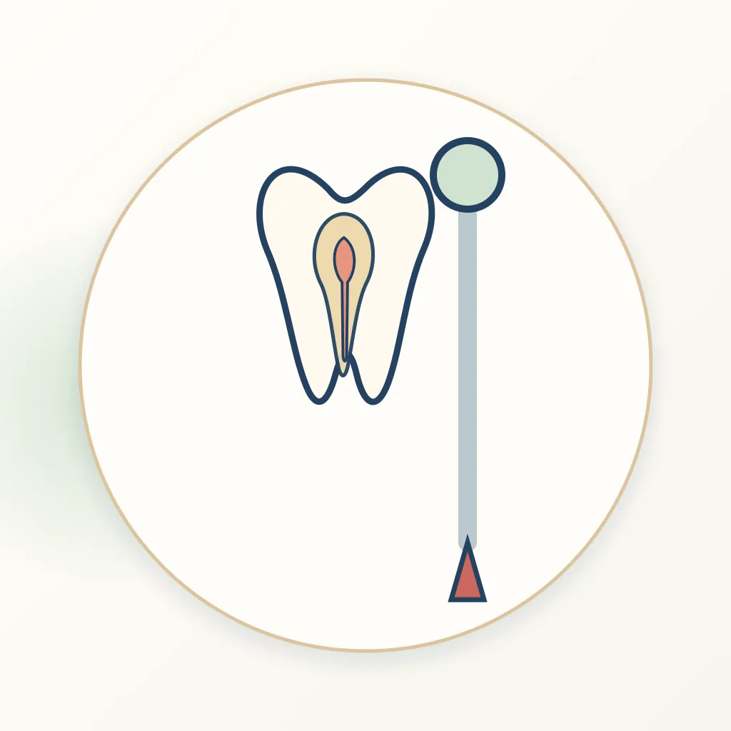 Ultrasonic Dental Scaler dental educational illustration