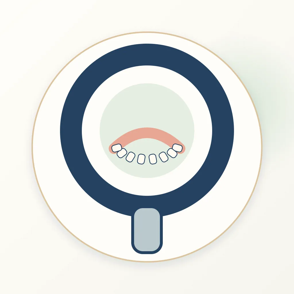 CBCT Scan (3D Dental X-Ray) dental educational illustration