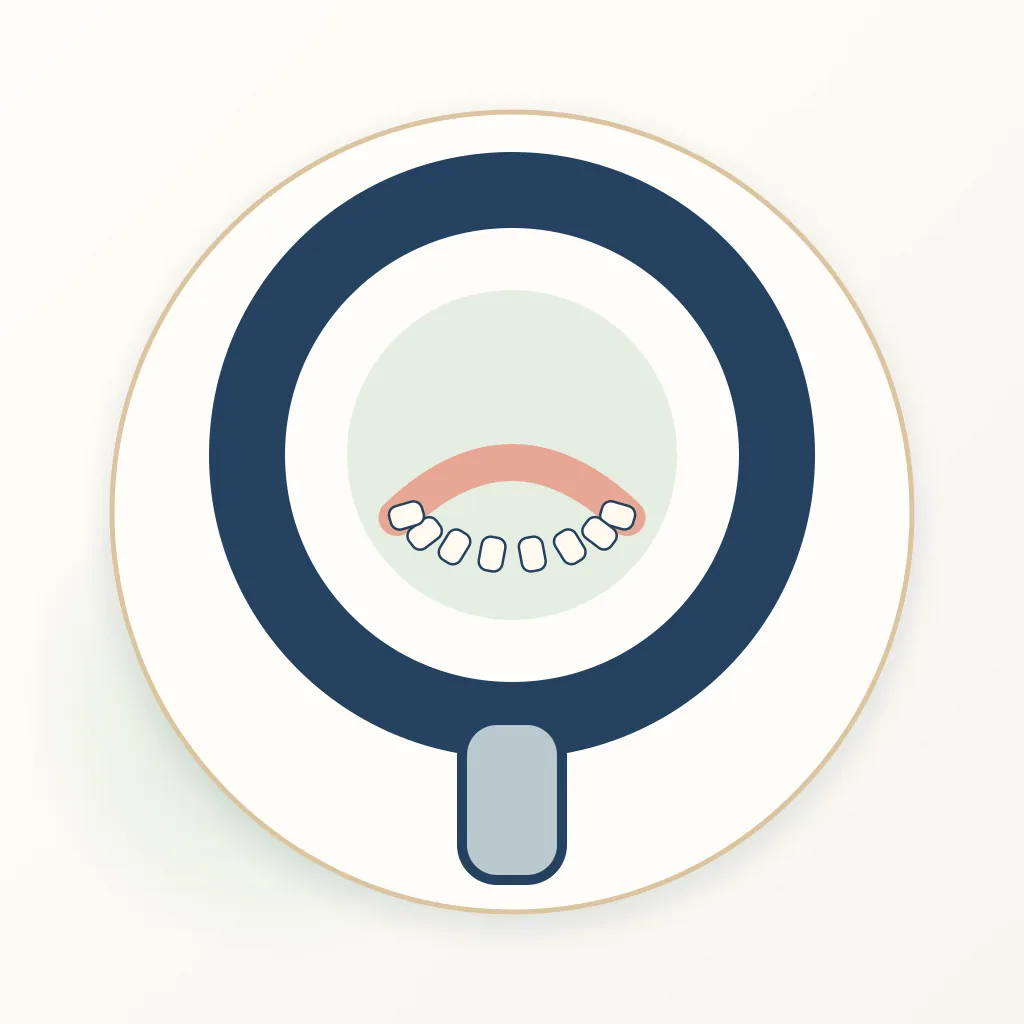 Panoramic Dental Radiography dental educational illustration