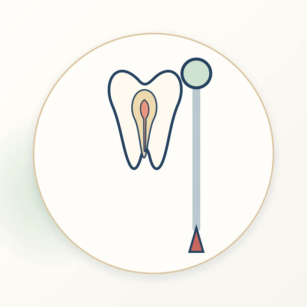 Electronic Apex Locator dental educational illustration