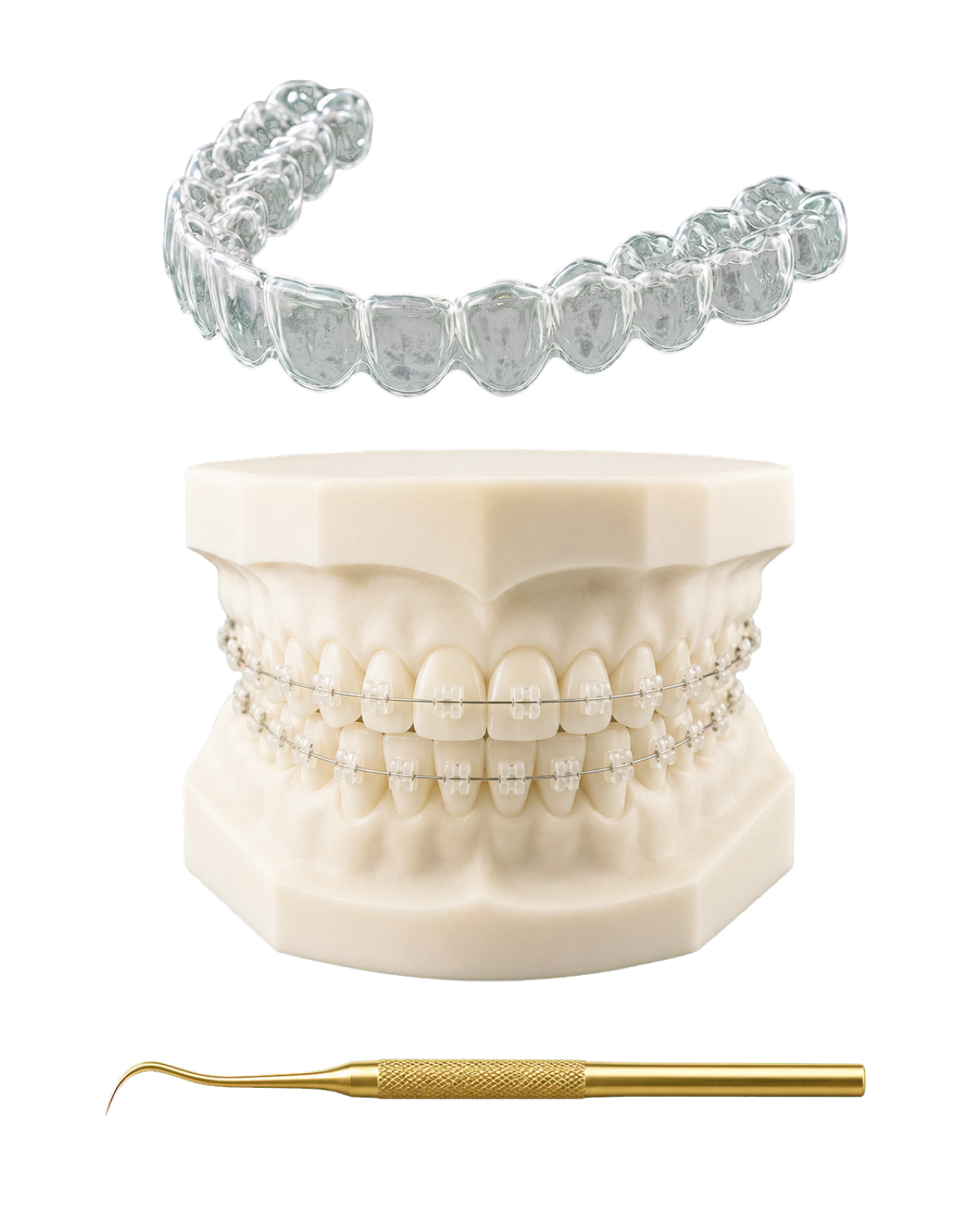 Orthodontics & Aligner Aesthetics